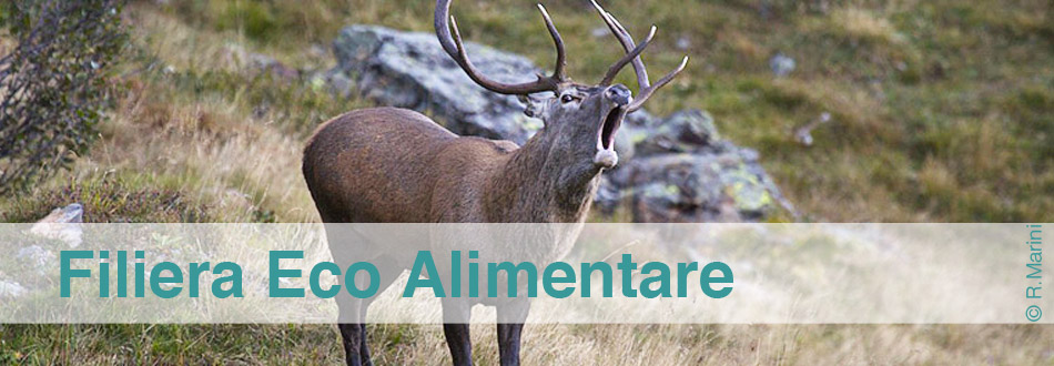 header_filiera_eco_alimentare_2.0