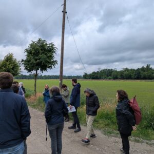 Agroforestry_6maggio_fallavecchia (7)