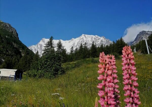 7_debernardi_giorgia_camminare_per_crescere