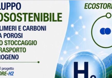 ECOSTORE - banner